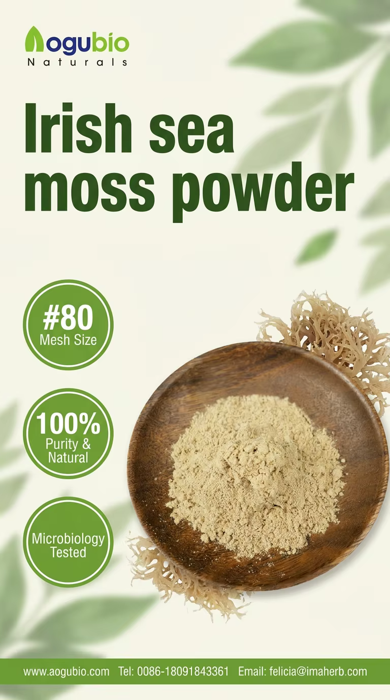Irish sea moss powder 1