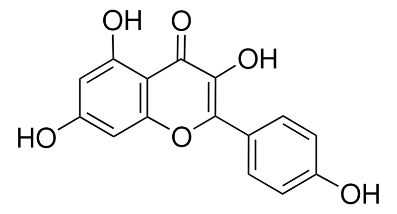 Kaempferol