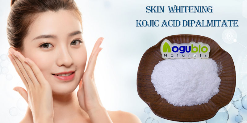 Best Kojic Acid Dipalmitate Powder: A Comprehensive Guide to Uses and Suppliers