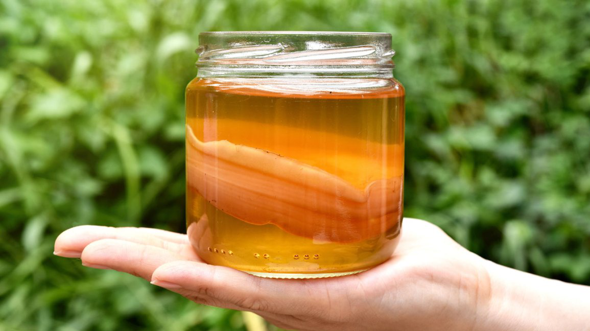 Kombucha tea liquid