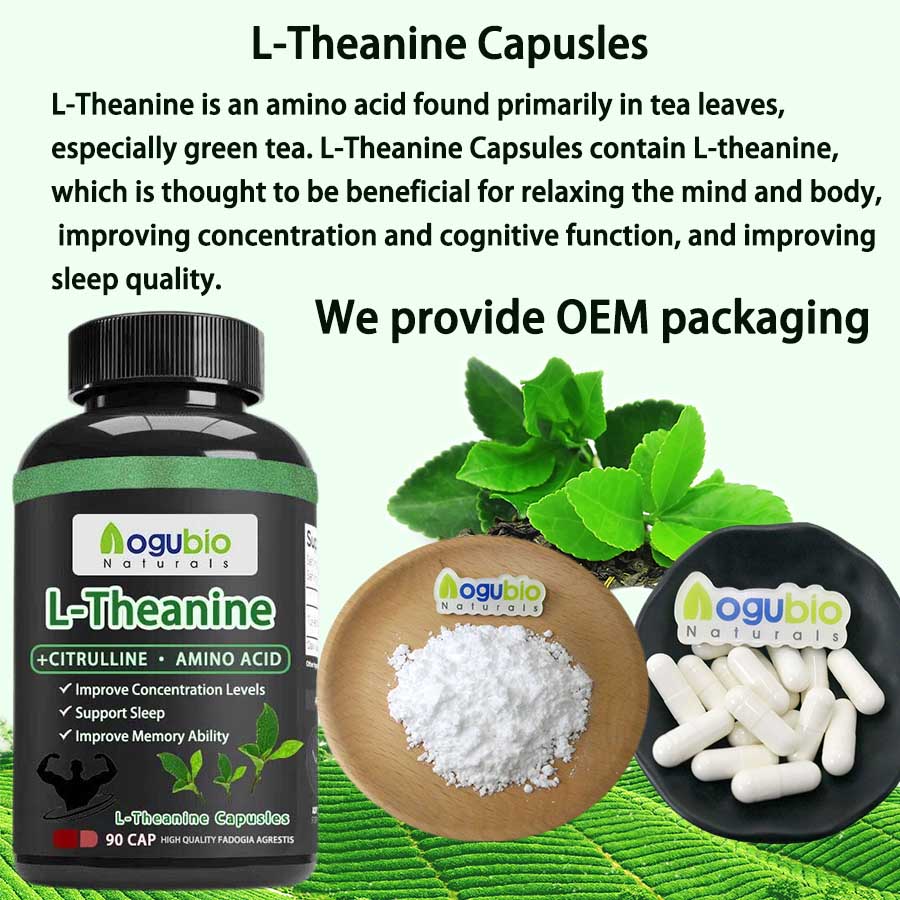Wholesale L‑Theanine Powder for Food & Dietary Supplements CAS 3081-61-6