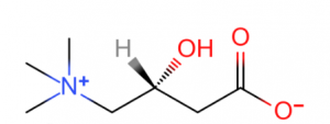 L-carnitine 1