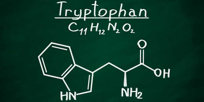 L-tryptophan