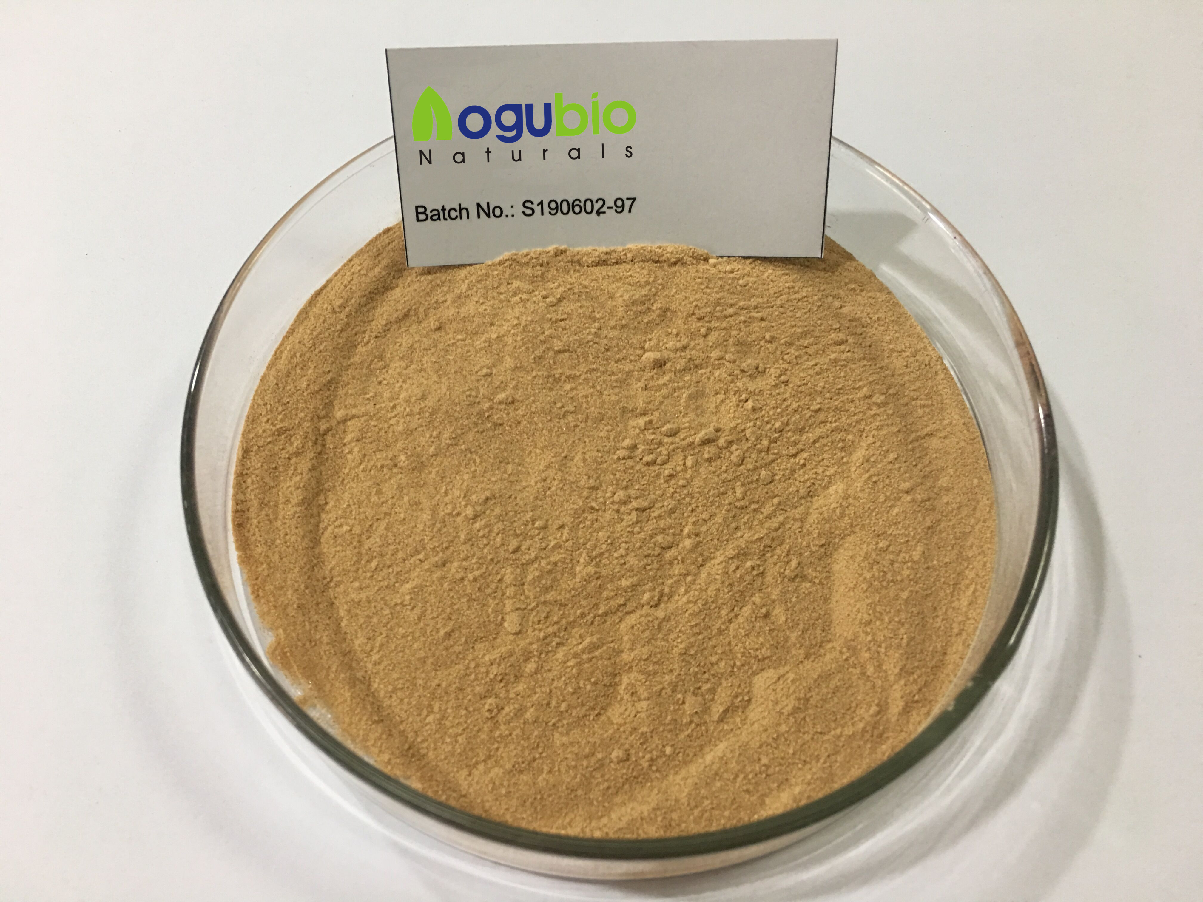 Lucuma powder-2