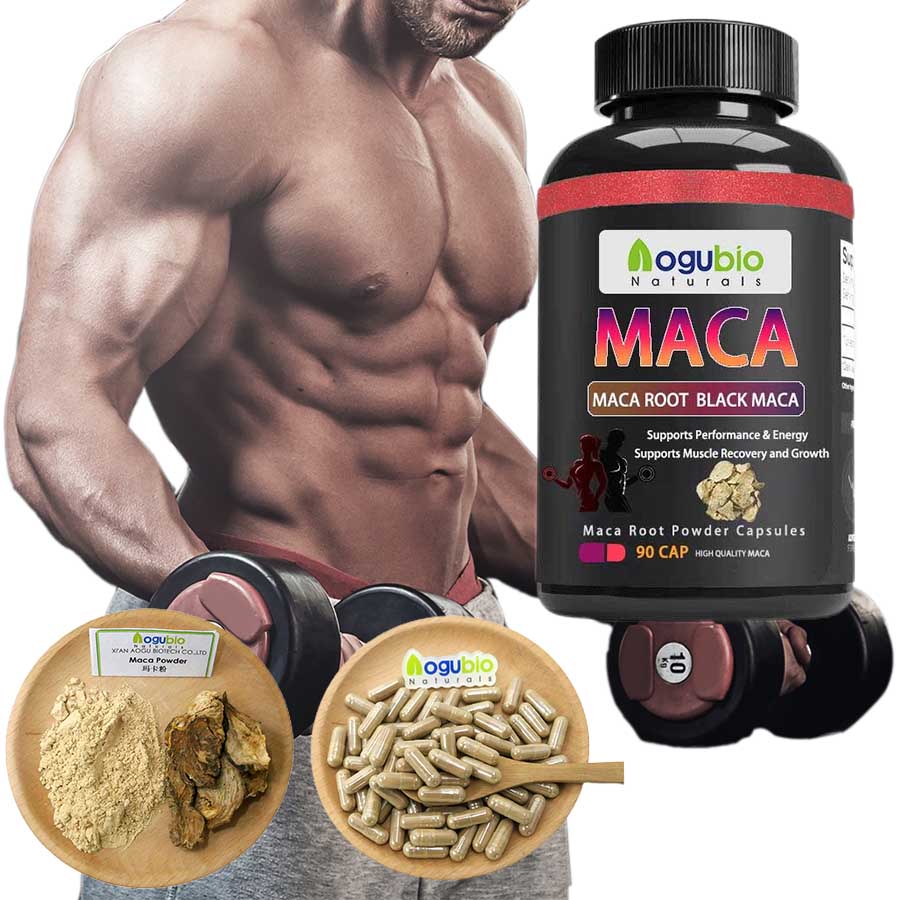 MACA 2