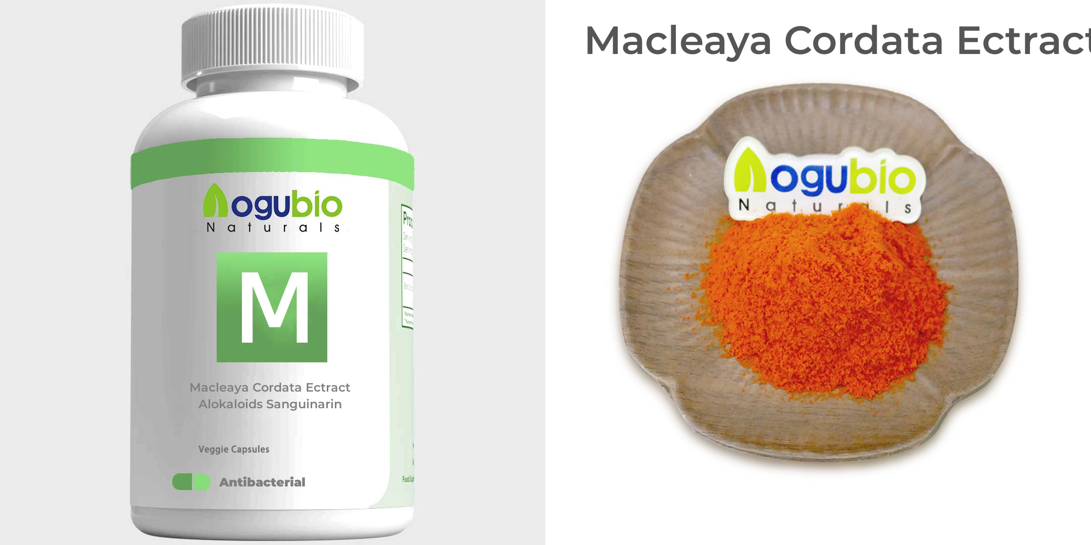 Discover the Benefits of Macleaya Cordata Extract for Improved Health