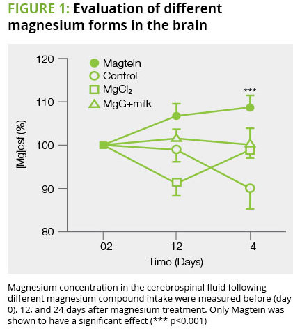 Magnesium L-Threonate -1