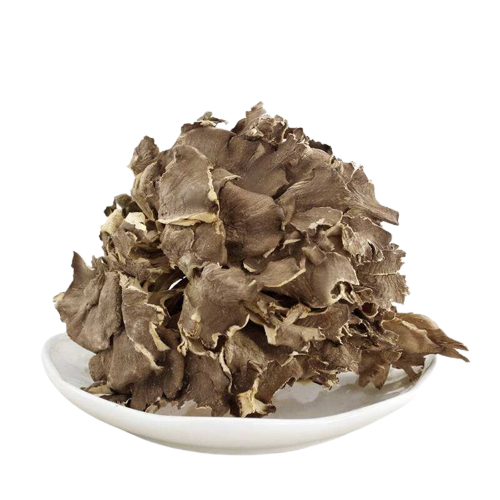 Maitake mushroom Extract