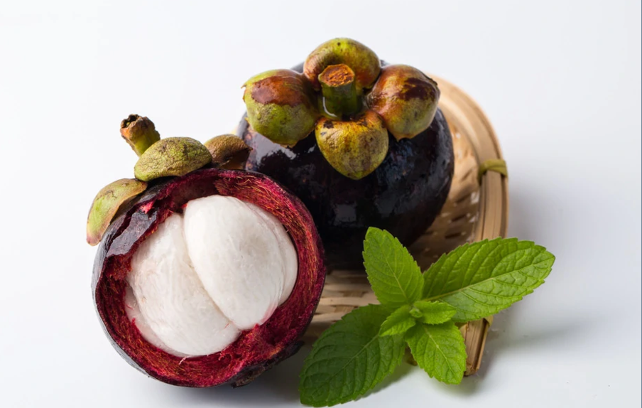 Mangosteen Extract Powder 2