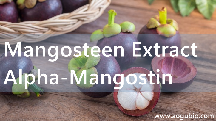 Mangosteen extract Alpha-Mangostin