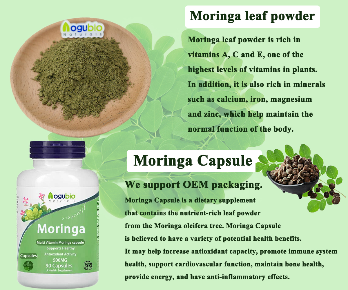 Moringa leaf powder