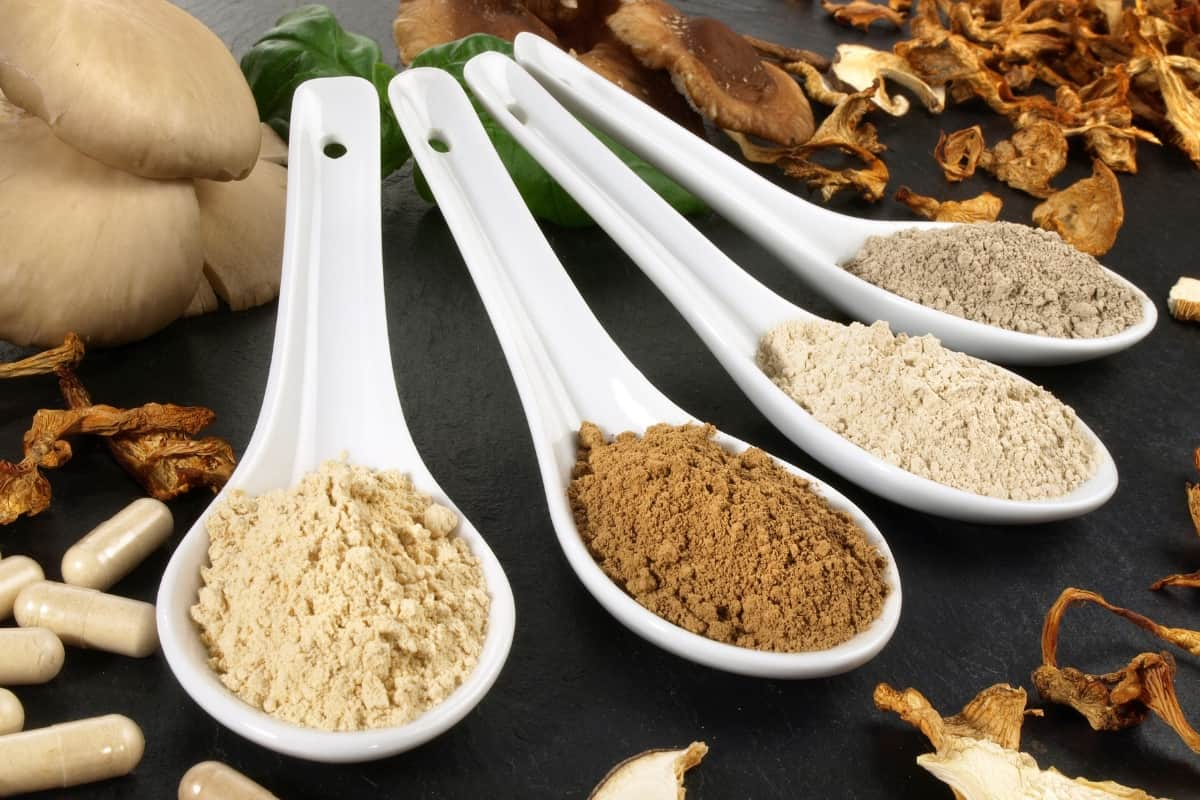 Mushroom Extract beta glucan into your diet