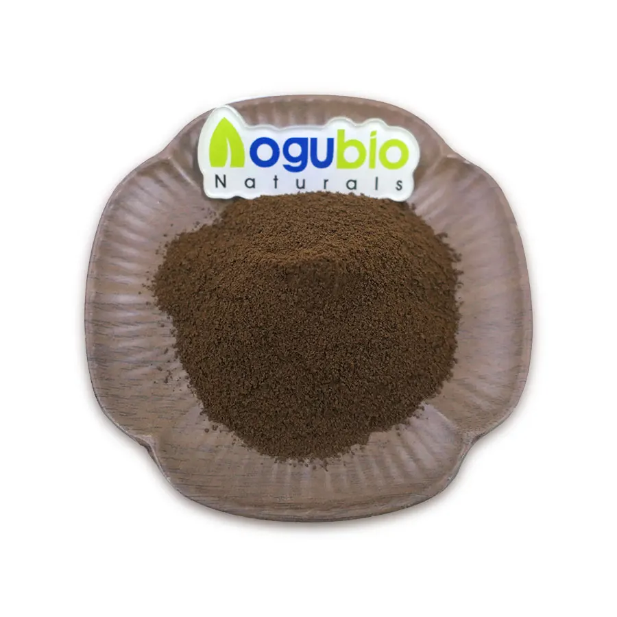 Mushroom coffee powder1