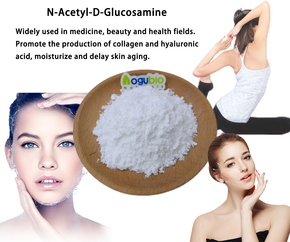 N-Acetyl-D-Glucosamine 1