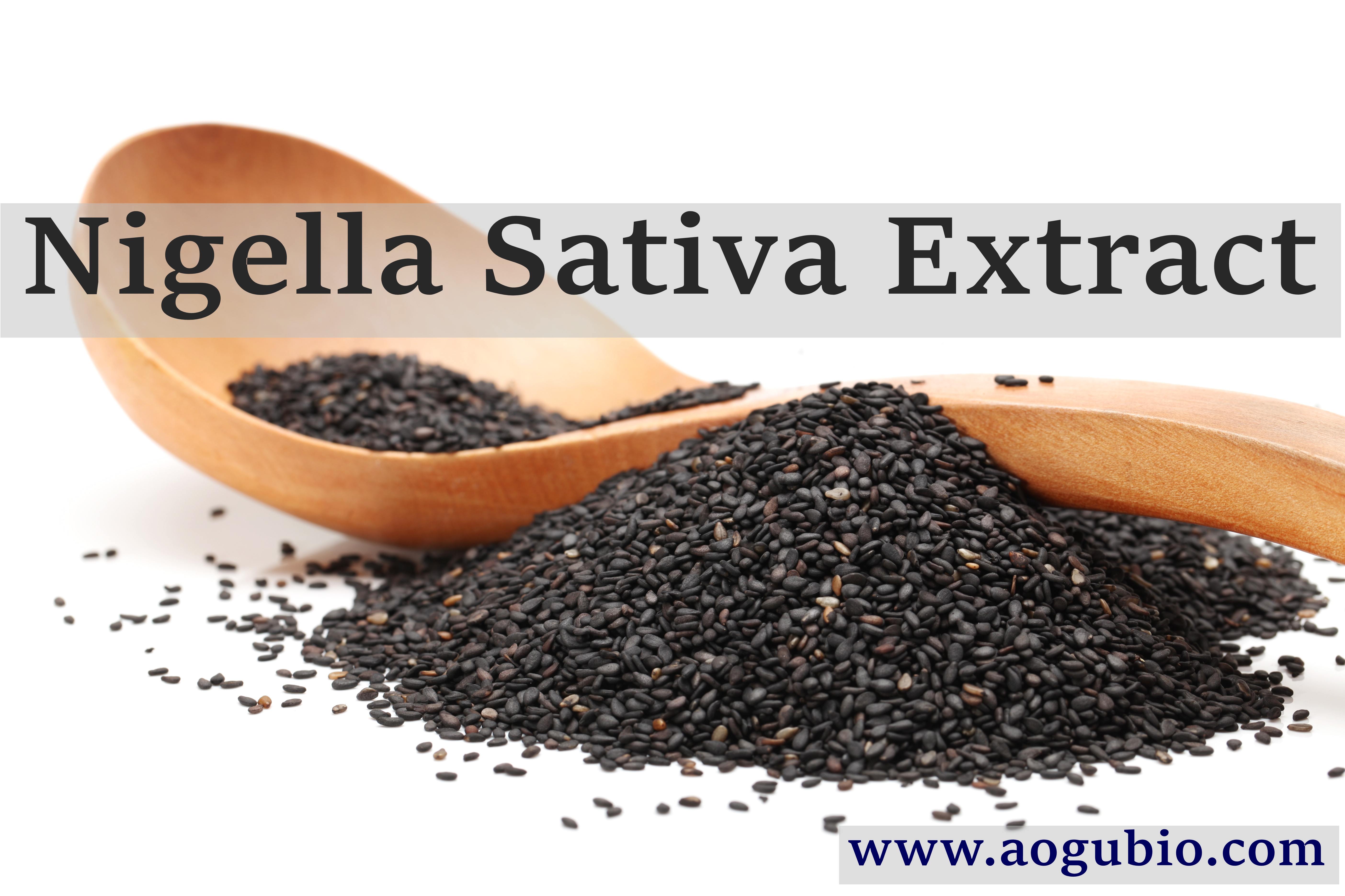 Nigella Sativa Extract