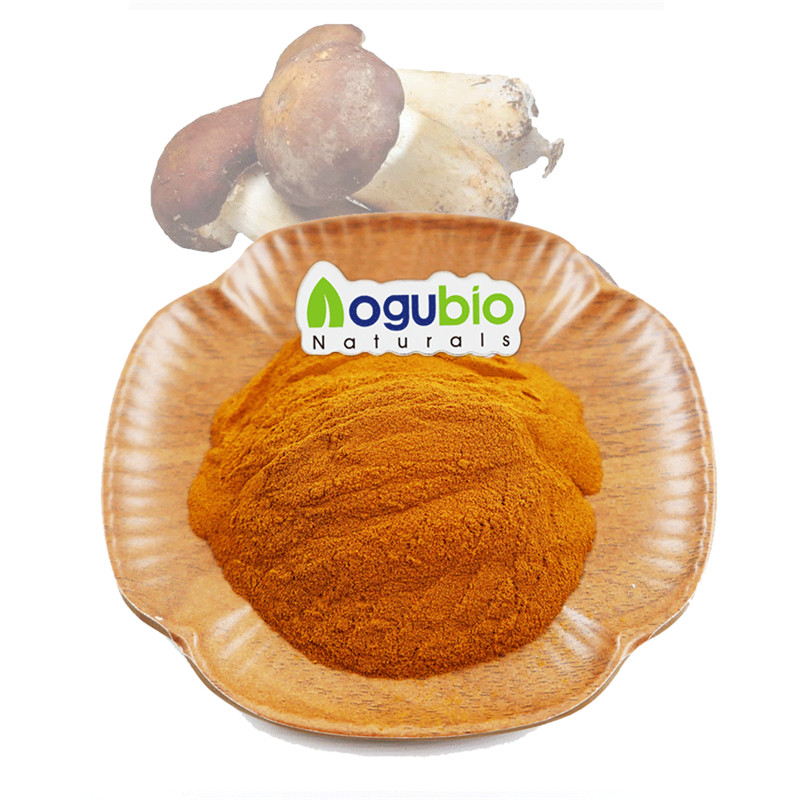 Reasonable price Factory Supply Agaricus Blazei Mushroom Powder Chinese Supplier