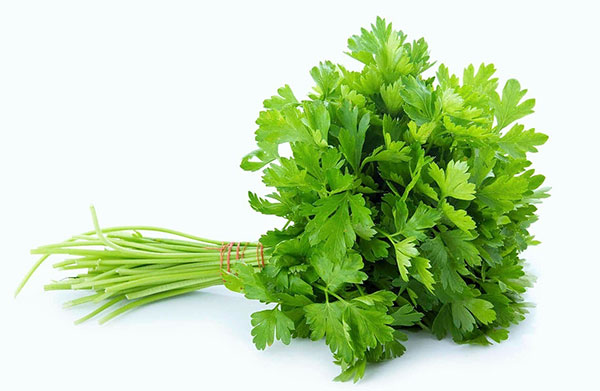 Parsley Extract (2)