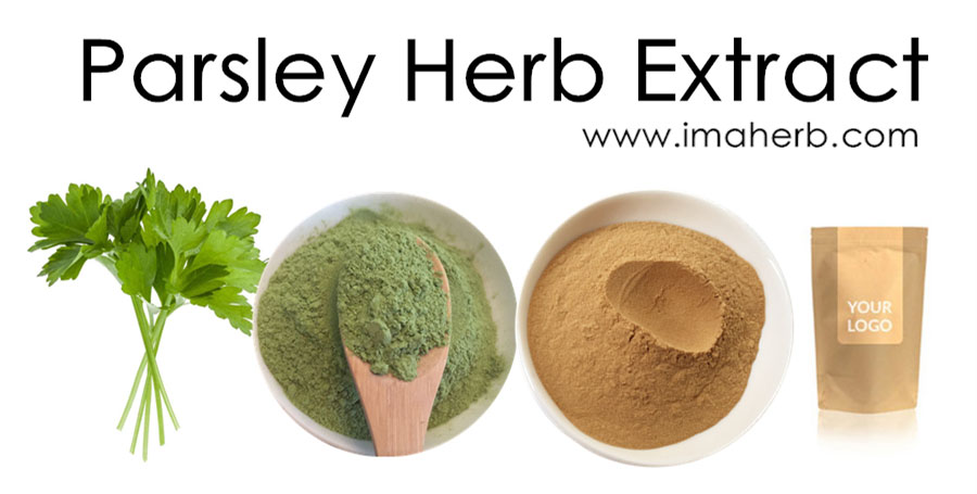 Parsley Extract (3)