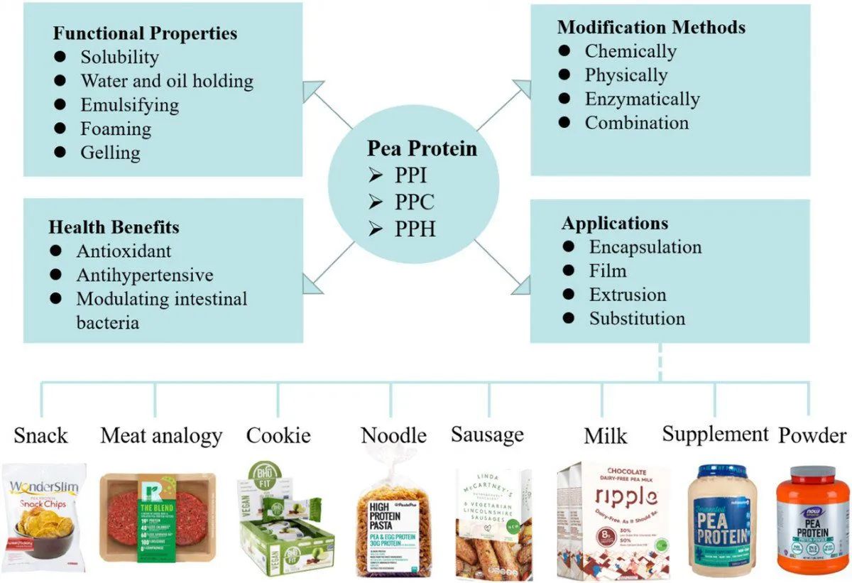 Pea Protein Peptide Application