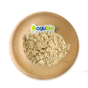 OEM Organic Pea Protein Powder 80% 85%