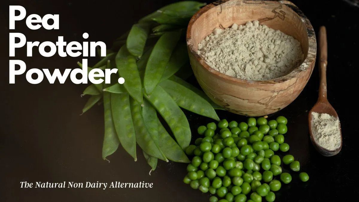 Pea Protein Peptide and its Application