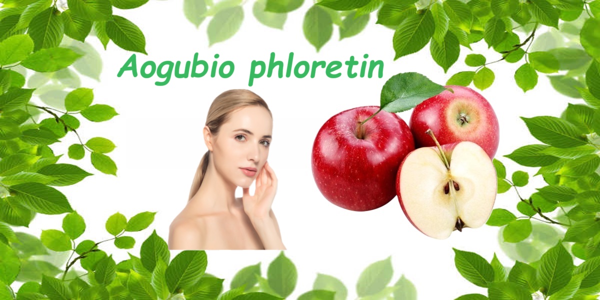 From antioxidant protection to brightening effect: the magic of phloretin powder