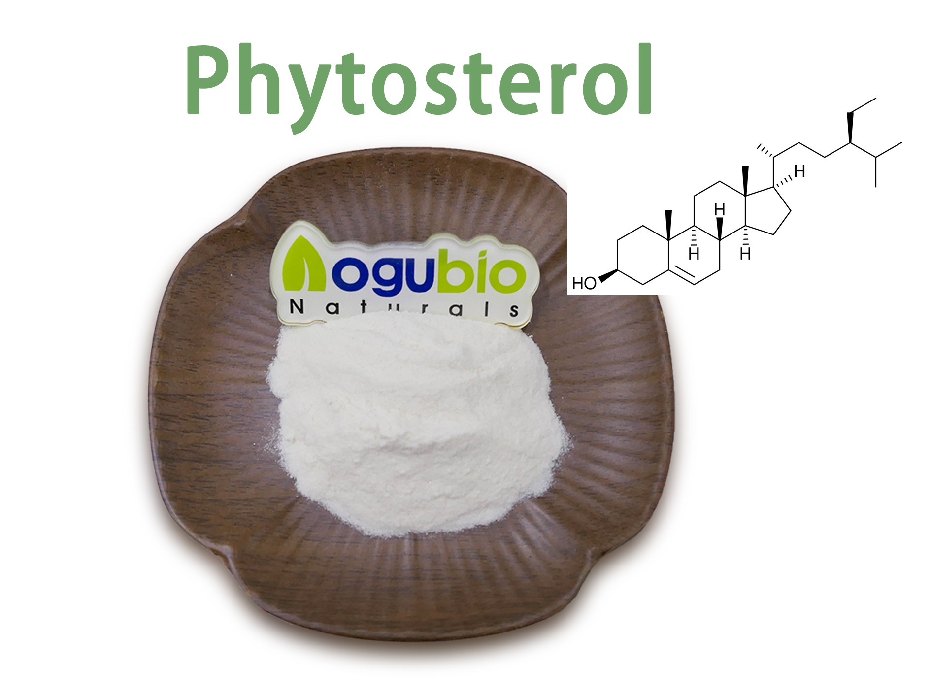 Phytosterol powder