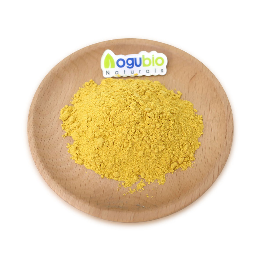 Pure Natural Pumpkin Seed Extract Powder