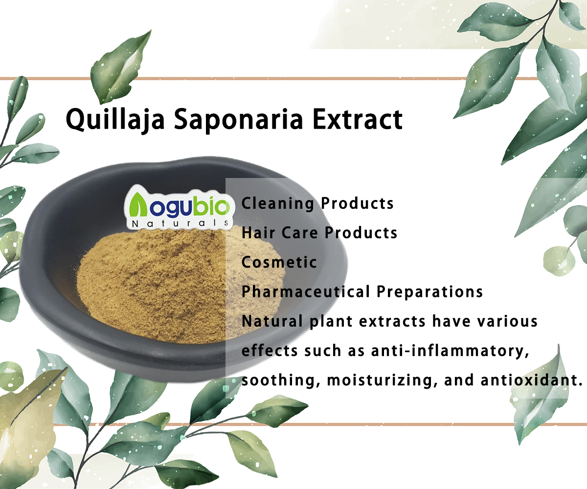 Quillaja Saponaria Extract 1