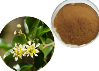 Quillaja Saponaria Extract