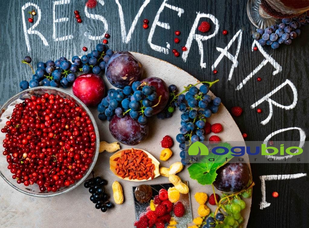 Top Resveratrol Supplements for Health