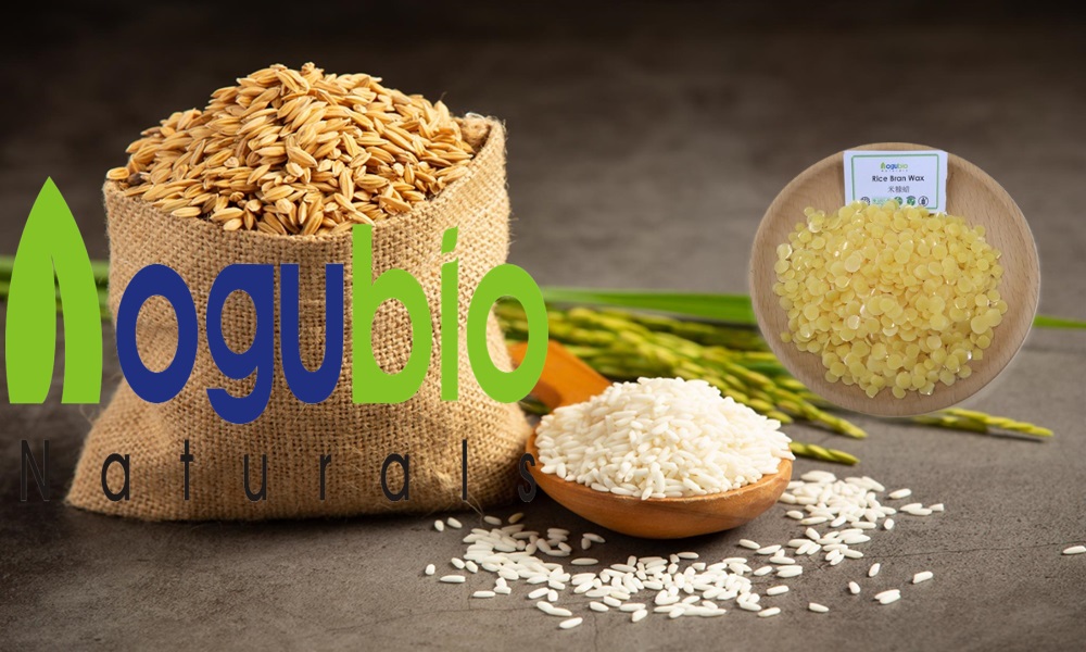 Aogubio rice bran wax the versatility of use