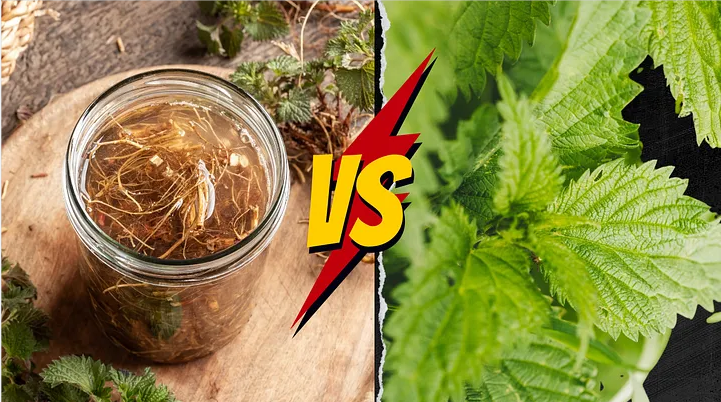 From Ancient Herb to Modern Superfood: Exploring the Nutritional Value of Nettle Root Powder