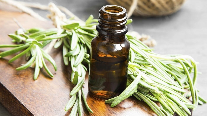 Rosemary Extract (1)