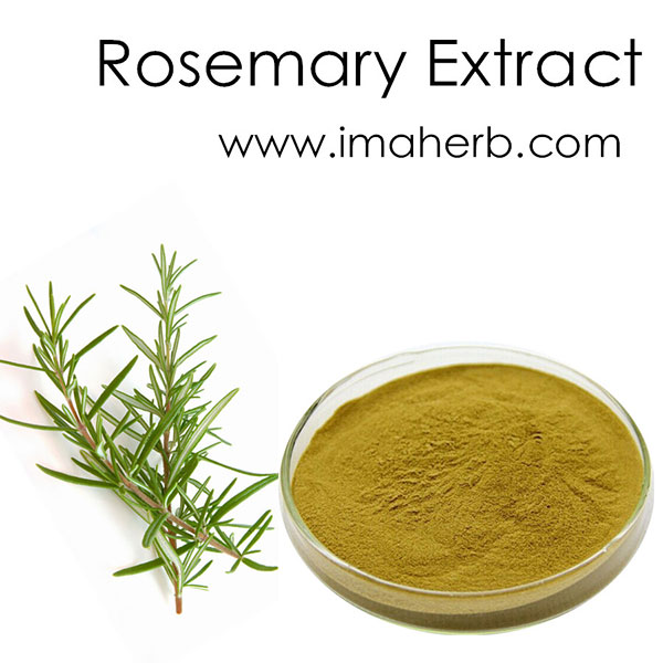 Rosemary Extract (3)