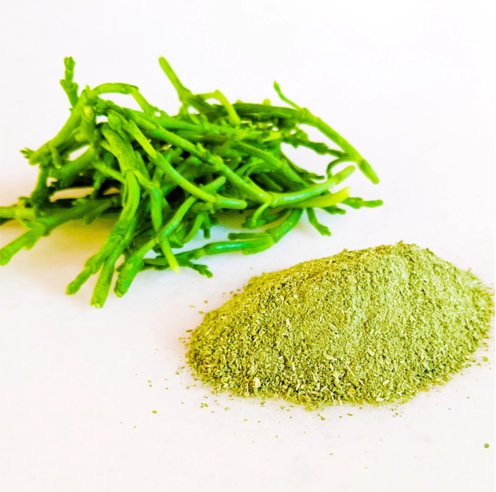 Health Benefits of Salicornia