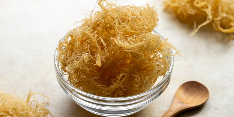 Organic Sea Moss Extract Powder