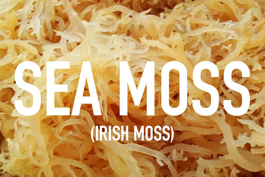 Exploring the Nutritional Value of Sea Moss: Why It’s a Superfood