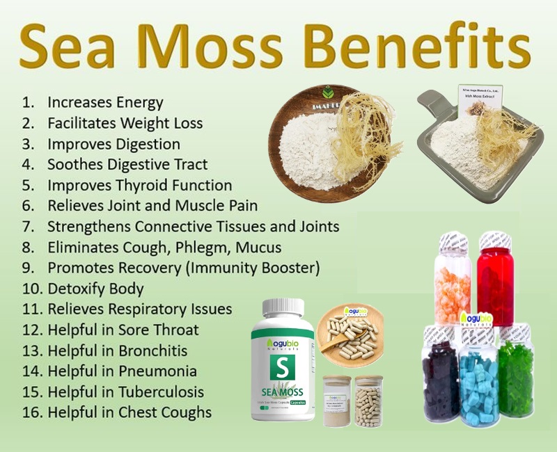 Sea moss species