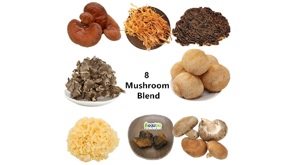 Organic 8 kinds of mushroom blend powder