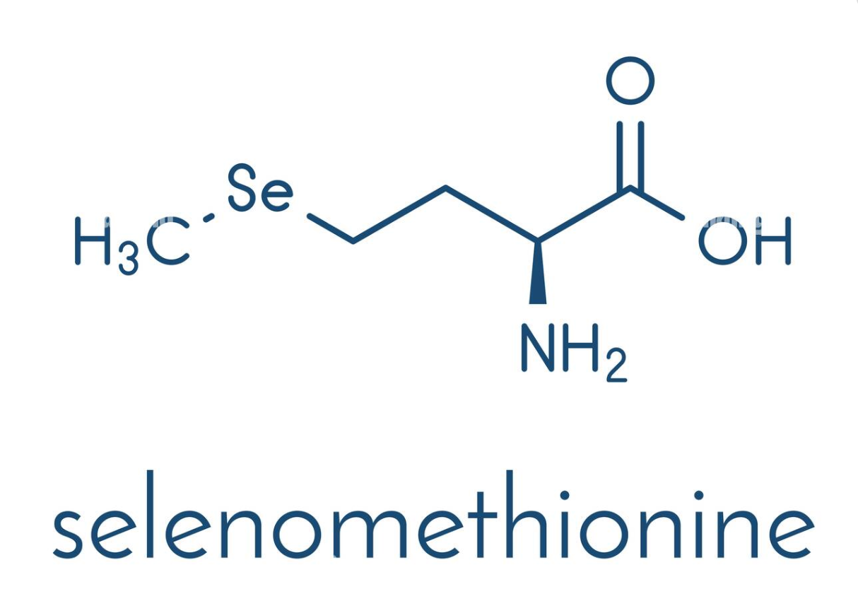 Selenomethionine