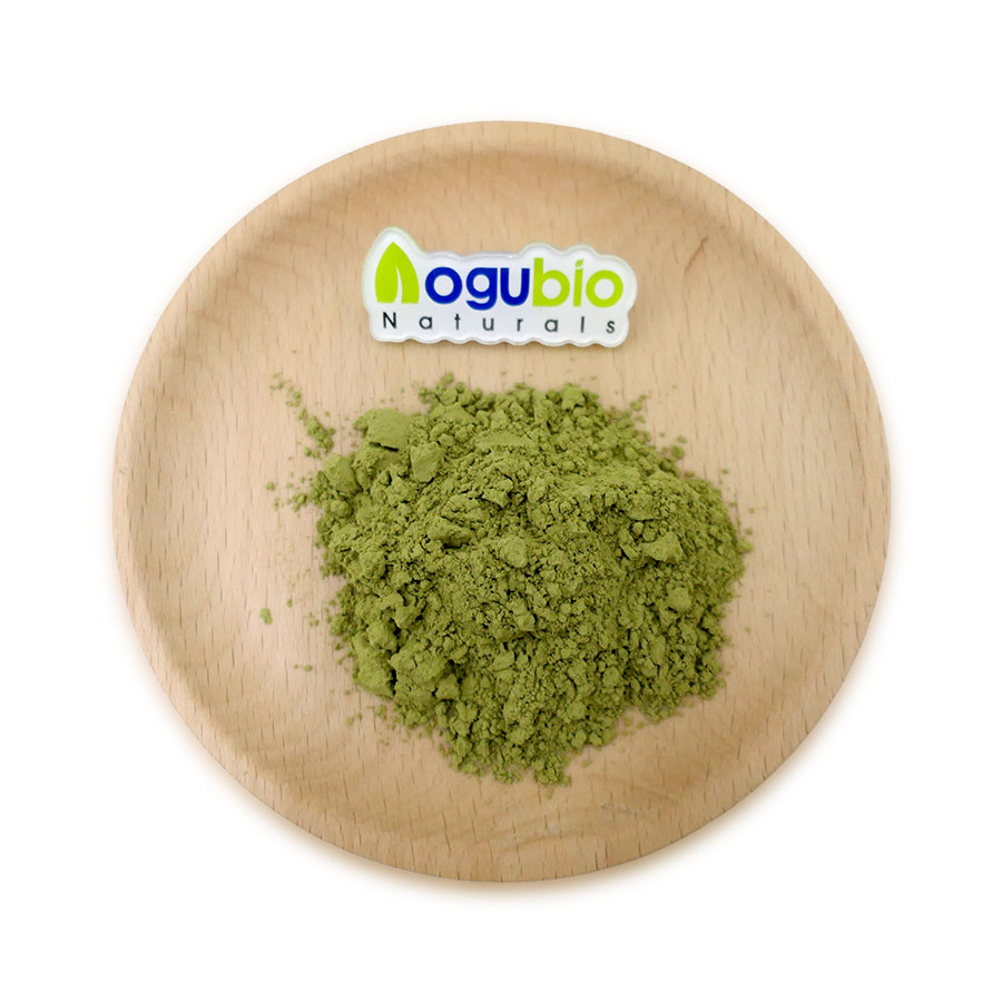 Ginkgo biloba leaf powder