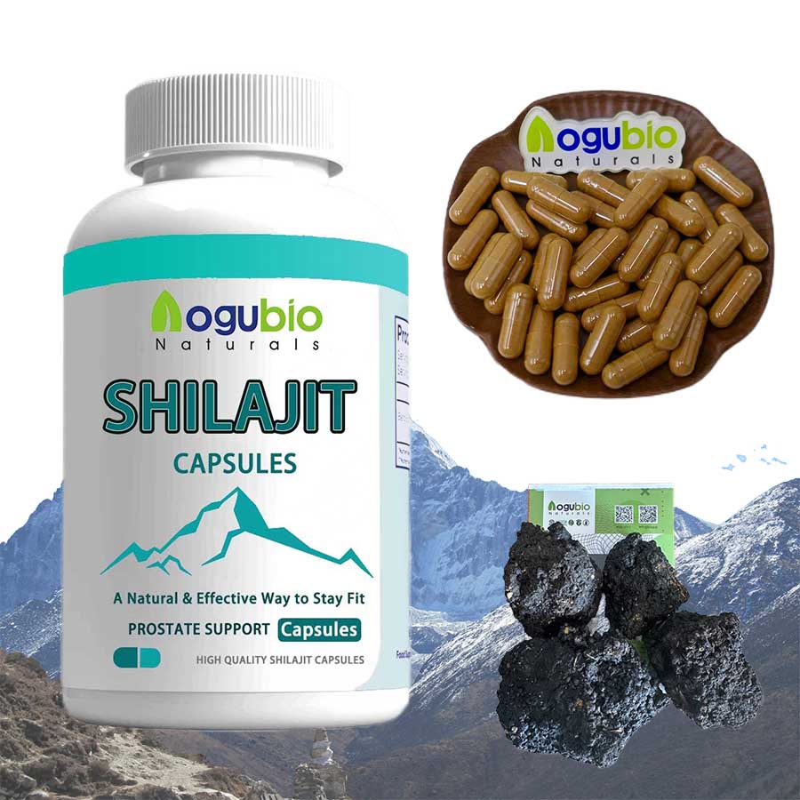 OEM Shilajit Capsule Pure Himalayan Shilajit Extract