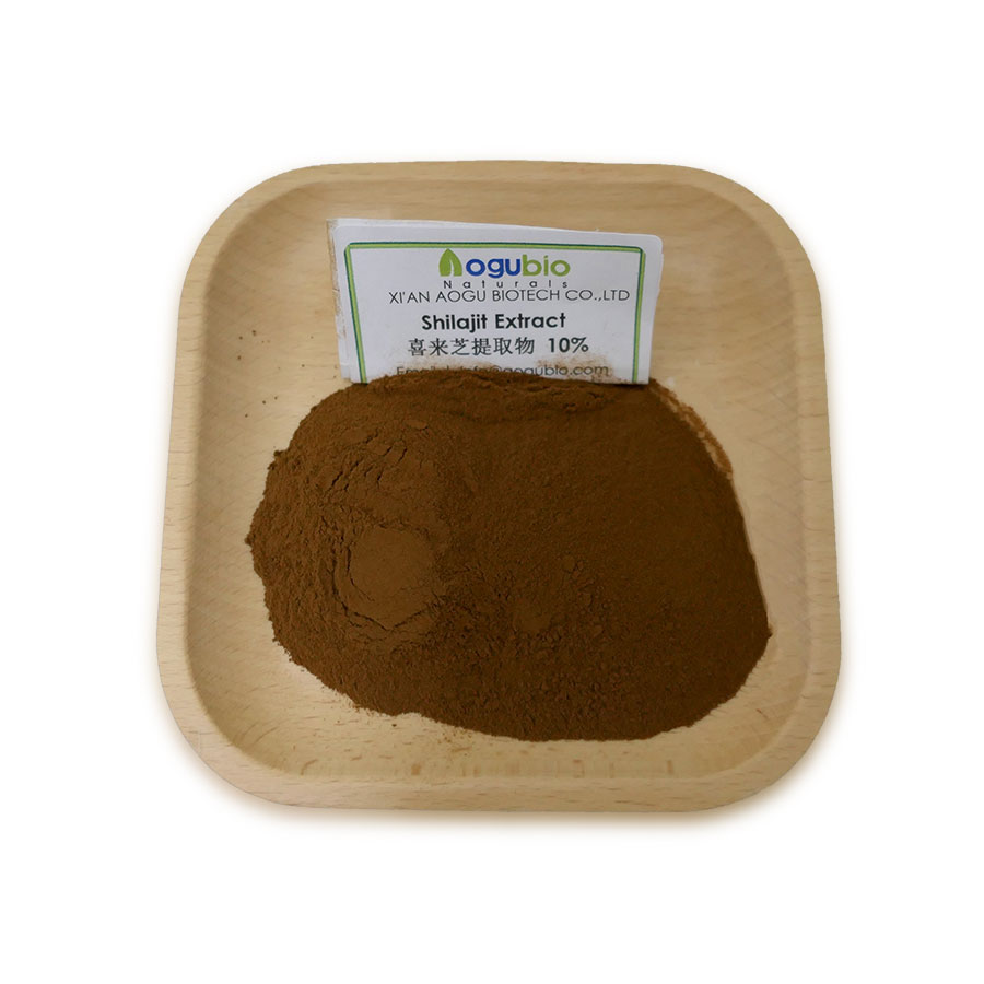 Shilajit Extract powder