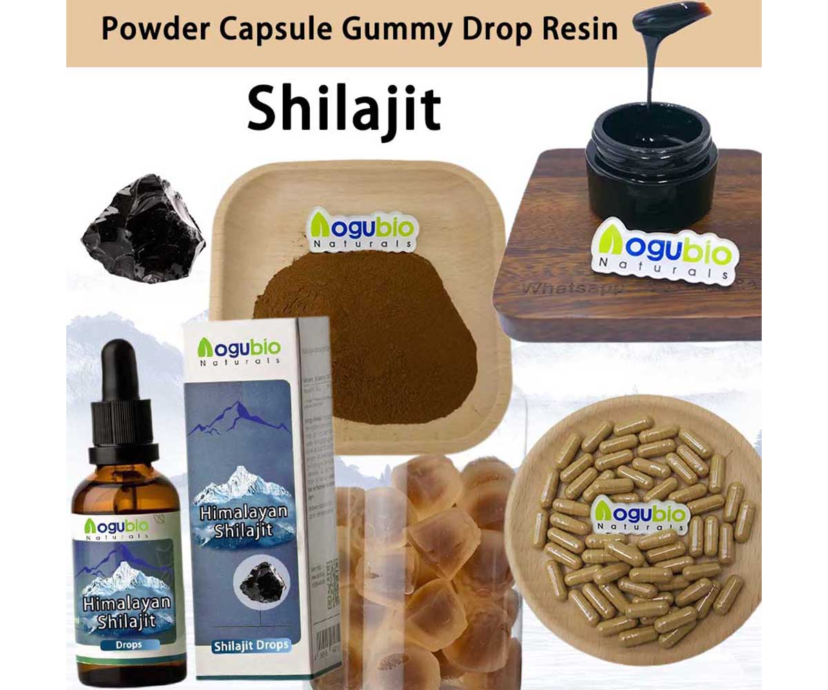 Shilajit Extract: A Natural Source of Health