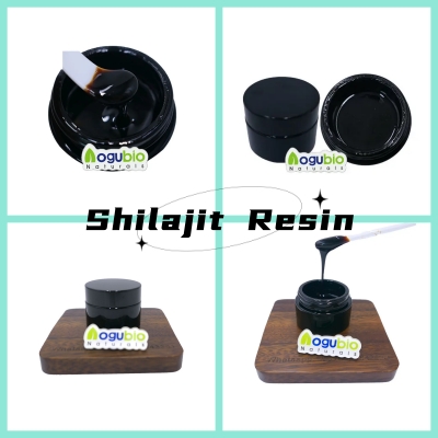 Shilajit Resin (1)