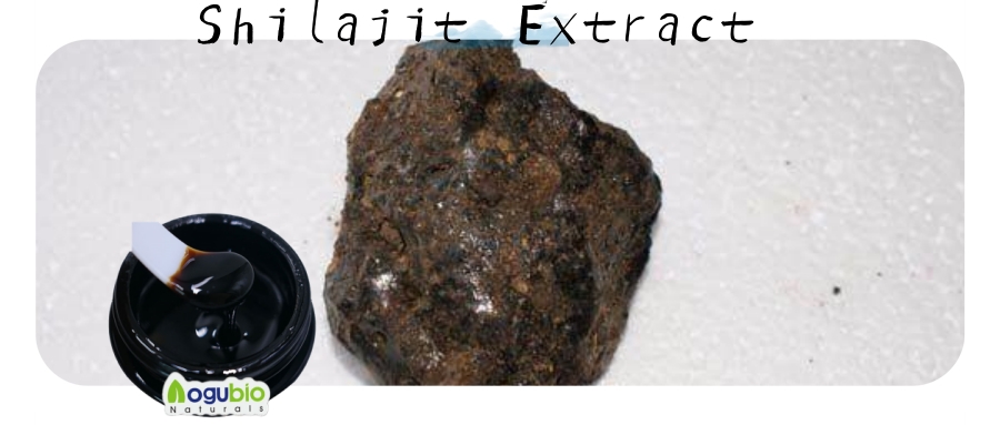 Shilajit Resin (2)