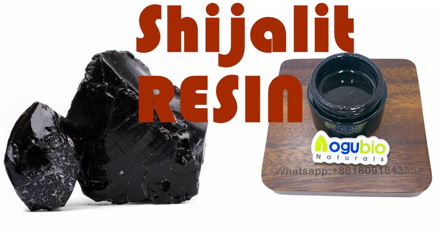 Shilajit resin