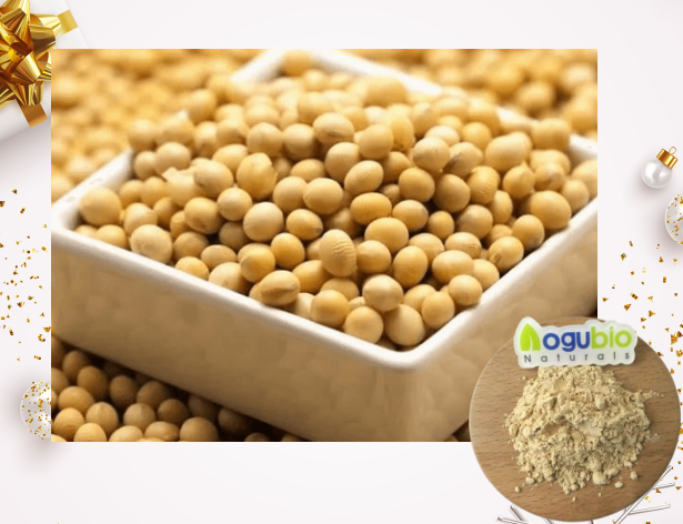 How Soy Isoflavones Boost Your Health and Well-Being