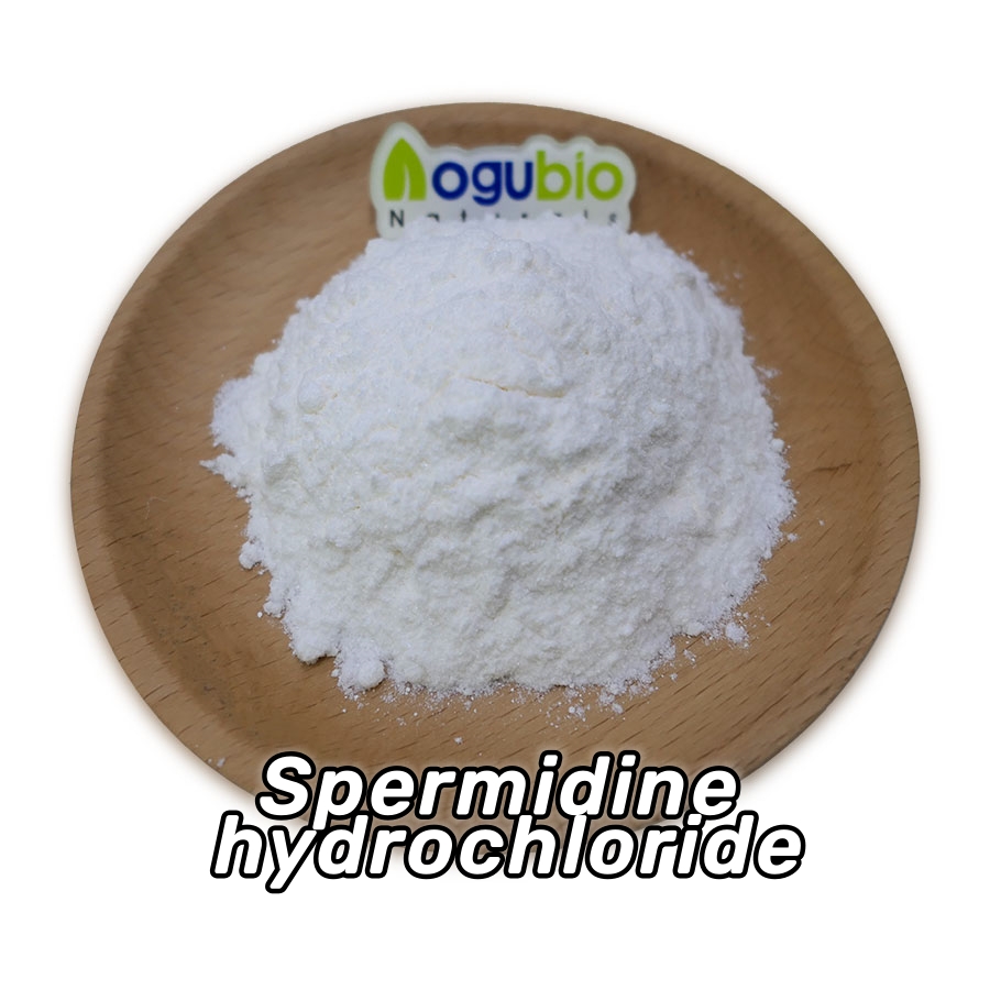 Spermidine hydrochloride 2